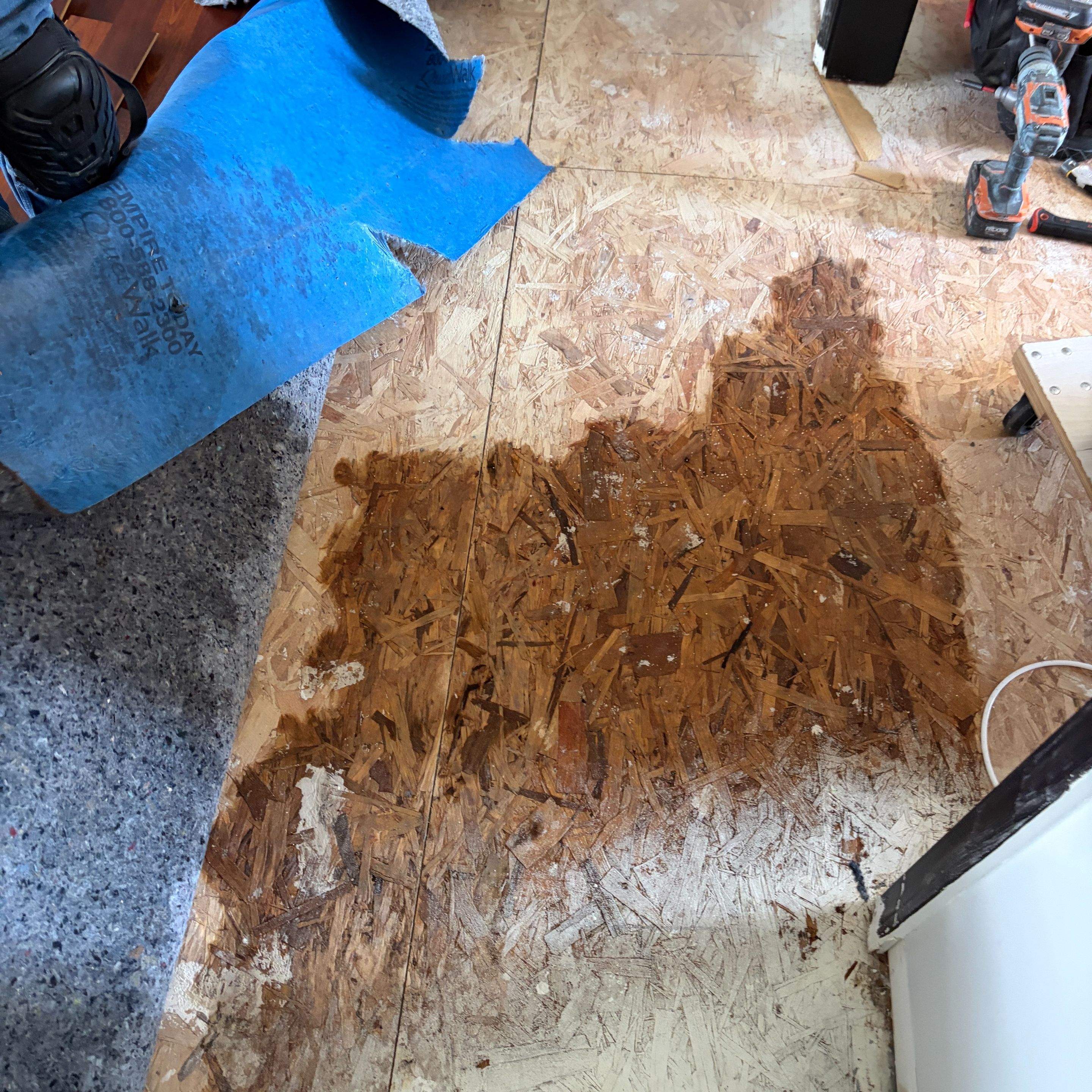 Washing Machine Flood in Fountain City: Water Damage Repair
